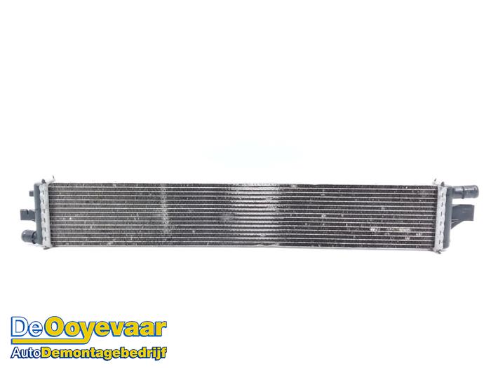 Gebruikte Intercooler Renault Master III (ML) 2.3 dCi 145 16V Prijs € 45,00 Margeregeling aangeboden door Autodemontagebedrijf De Ooyevaar