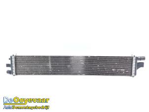 Gebruikte Intercooler Renault Master III (ML) 2.3 dCi 145 16V Prijs € 45,00 Margeregeling aangeboden door Autodemontagebedrijf De Ooyevaar