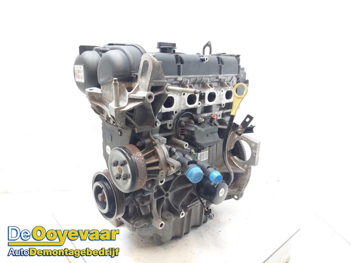 Gebruikte Motor Ford Fiesta 6 (JA8) 1.25 16V Prijs € 499,99 Margeregeling aangeboden door Autodemontagebedrijf De Ooyevaar