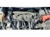 Ford Fiesta 6 (JA8) 1.25 16V Motor