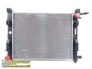 Gebruikte Radiateur Renault Clio IV Estate/Grandtour (7R) 0.9 Energy TCE 90 12V Prijs € 35,00 Margeregeling aangeboden door Autodemontagebedrijf De Ooyevaar