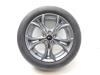 Ford Focus 3 1.0 Ti-VCT EcoBoost 12V 125 Velg + Band