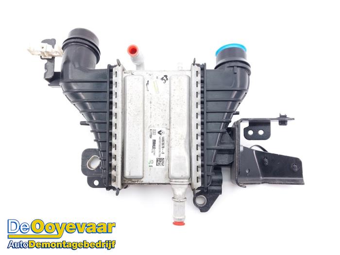 Gebruikte Intercooler Renault Kangoo Express (FW) 1.5 dCi 115 Prijs € 149,99 Margeregeling aangeboden door Autodemontagebedrijf De Ooyevaar