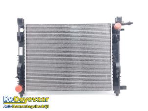 Gebruikte Radiateur Dacia Duster (SR) 1.0 TCE 100 Bi-Fuel, Eco-G 12V Prijs € 29,99 Margeregeling aangeboden door Autodemontagebedrijf De Ooyevaar