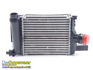 Gebruikte Intercooler Dacia Duster (SR) 1.0 TCE 100 Bi-Fuel, Eco-G 12V Prijs € 49,99 Margeregeling aangeboden door Autodemontagebedrijf De Ooyevaar