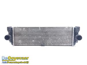 Gebruikte Intercooler Mercedes Sprinter 3t (906.61) 210 CDI 16V Prijs € 39,99 Margeregeling aangeboden door Autodemontagebedrijf De Ooyevaar