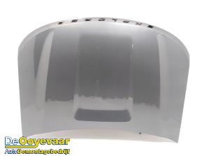 Gebruikte Motorkap Ford Explorer (CX740) Prijs € 899,00 Margeregeling aangeboden door Autodemontagebedrijf De Ooyevaar