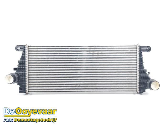 Gebruikte Intercooler Opel Insignia Sports Tourer 1.5 Turbo 16V 165 Prijs € 89,99 Margeregeling aangeboden door Autodemontagebedrijf De Ooyevaar