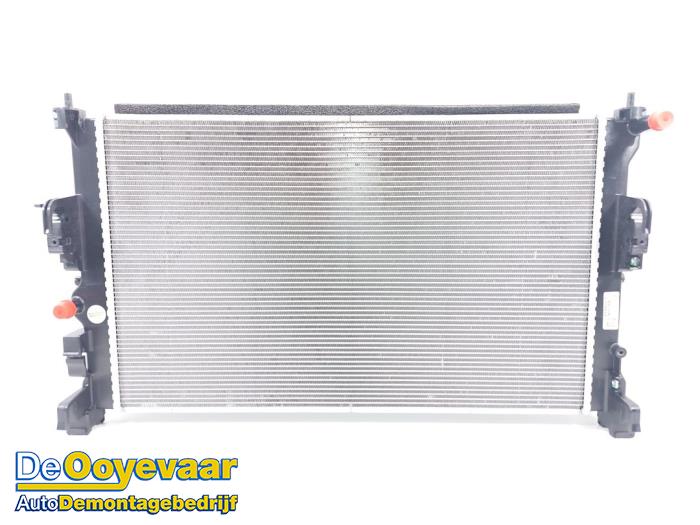 Gebruikte Radiateur Renault Megane E-Tech (RCB) 60 kWh Prijs € 299,99 Margeregeling aangeboden door Autodemontagebedrijf De Ooyevaar