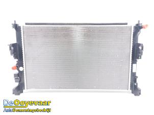 Gebruikte Radiateur Renault Megane E-Tech (RCB) 60 kWh Prijs € 299,99 Margeregeling aangeboden door Autodemontagebedrijf De Ooyevaar