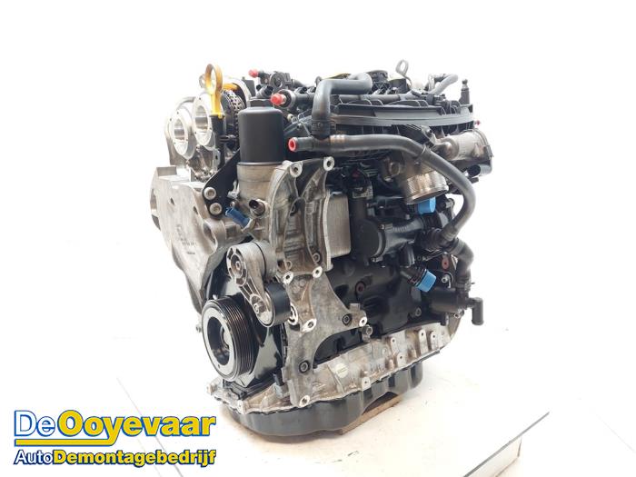 Gebruikte Motor Volkswagen Polo VI (AW1) 2.0 GTI Prijs € 3.250,00 Margeregeling aangeboden door Autodemontagebedrijf De Ooyevaar