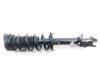Dacia Spring 65 Mac Phersonpoot links-voor