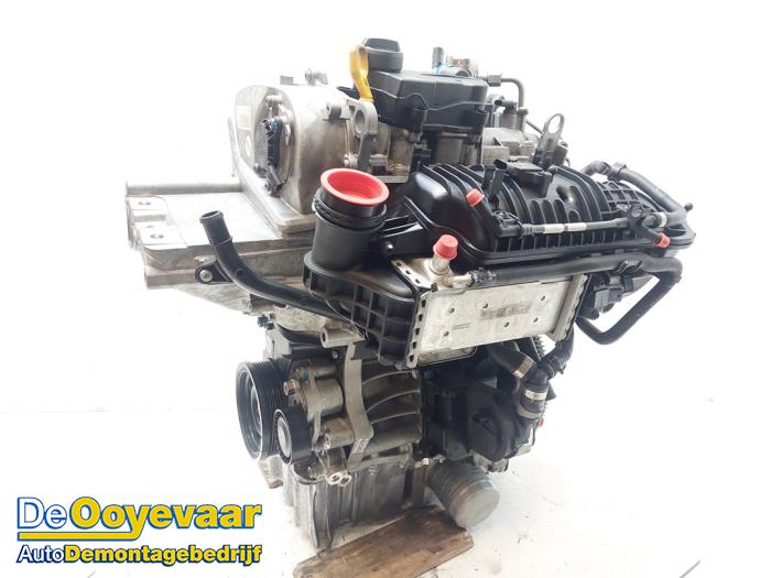 Gebruikte Motor Volkswagen Polo VI (AW1) 1.0 TSI 12V Prijs € 2.250,00 Margeregeling aangeboden door Autodemontagebedrijf De Ooyevaar