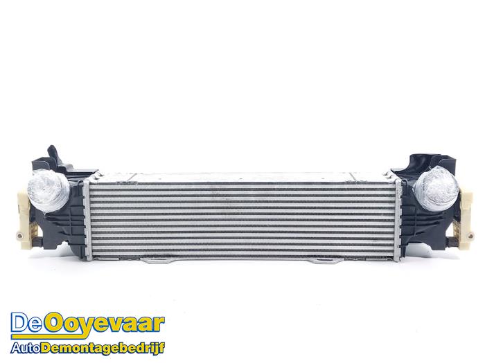Gebruikte Intercooler BMW 5 serie (G30) 520i 2.0 TwinPower Turbo 16V Prijs € 175,00 Margeregeling aangeboden door Autodemontagebedrijf De Ooyevaar