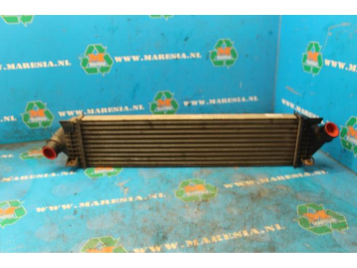 Gebruikte Intercooler Ford Focus Prijs € 26,25 Margeregeling aangeboden door Maresia Auto Recycling B.V.