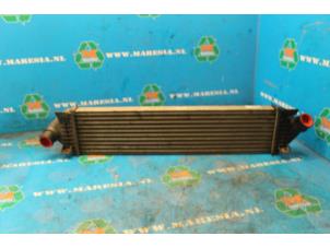 Gebruikte Intercooler Ford Focus Prijs € 36,75 Margeregeling aangeboden door Maresia Auto Recycling B.V.
