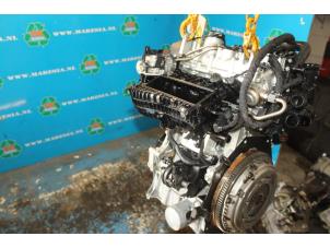 Gebruikte Motor Volkswagen Polo VI (AW1) 1.0 TSI 12V Prijs € 1.207,50 Margeregeling aangeboden door Maresia Auto Recycling B.V.