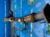 Exhaust front section Hyundai Getz