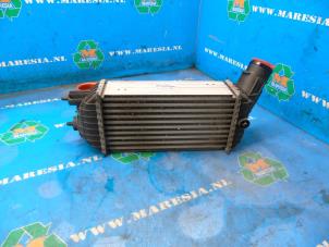 Gebruikte Intercooler Peugeot 3008 I (0U/HU) 2.0 HDiF 16V, BlueHDi 150 16V Prijs € 78,75 Margeregeling aangeboden door Maresia Auto Recycling B.V.