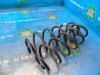 Rear coil spring Ford Puma