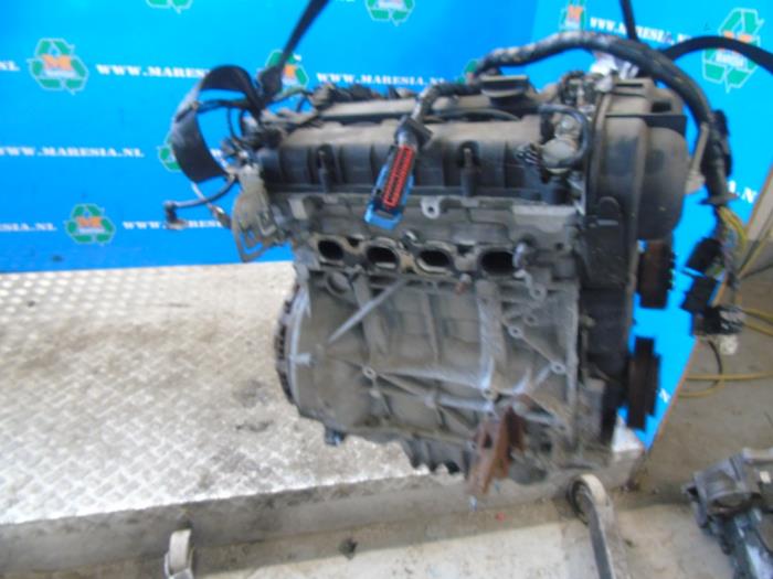 Gebruikte Motor Ford C-Max (DXA) 1.6 Ti-VCT 16V Prijs € 997,50 Margeregeling aangeboden door Maresia Auto Recycling B.V.