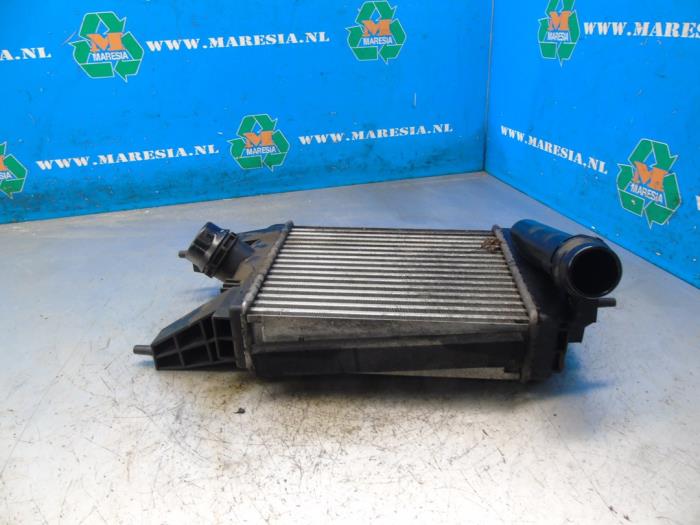 Gebruikte Intercooler Nissan Juke (F15) 1.2 DIG-T 16V Prijs € 105,00 Margeregeling aangeboden door Maresia Auto Recycling B.V.