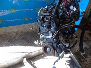 Gebruikte Motor Renault Kangoo Express (RFK) 1.5 Blue dCi 95 Prijs € 2.992,50 Margeregeling aangeboden door Maresia Auto Recycling B.V.