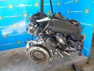 Gebruikte Motor Hyundai i30 Wagon (PDEF5) 1.5 T-GDI 16V Hybrid 48V Prijs € 2.362,50 Margeregeling aangeboden door Maresia Auto Recycling B.V.