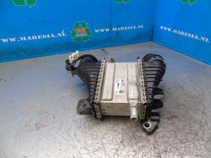 Gebruikte Intercooler Renault Kangoo Express (RFK) 1.5 Blue dCi 95 Prijs € 257,25 Margeregeling aangeboden door Maresia Auto Recycling B.V.