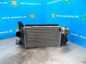 Gebruikte Intercooler Hyundai Tucson (NX) 1.6 T-GDI HEV Prijs € 210,00 Margeregeling aangeboden door Maresia Auto Recycling B.V.