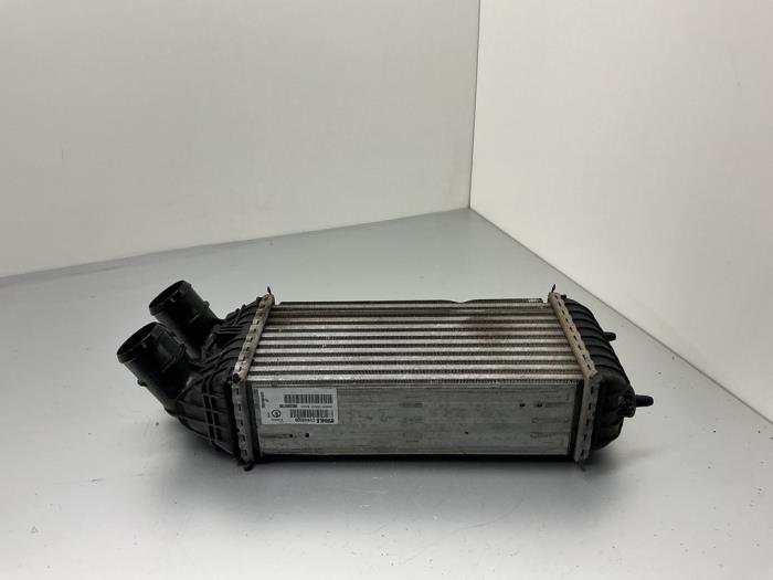 Gebruikte Intercooler Opel Crossland (X) 1.2 Turbo 12V Prijs € 42,00 Margeregeling aangeboden door Maresia Auto Recycling B.V.