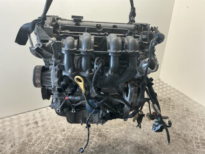Gebruikte Motor Ford Fiesta 6 (JA8) 1.25 16V Prijs € 682,50 Margeregeling aangeboden door Maresia Auto Recycling B.V.
