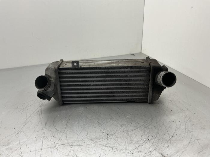 Gebruikte Intercooler Hyundai iX20 (JC) 1.4 CRDi 16V Prijs € 52,50 Margeregeling aangeboden door Maresia Auto Recycling B.V.