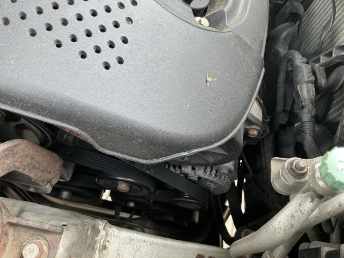 Gebruikte Dynamo Hyundai Santa Fe II (CM) 2.7 V6 24V 4x2 Prijs € 157,50 Margeregeling aangeboden door Maresia Auto Recycling B.V.