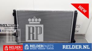Gebruikte Radiateur Toyota RAV4 (A3) 2.0 16V VVT-i 4x4 Prijs € 90,00 Margeregeling aangeboden door Relder Parts B.V.