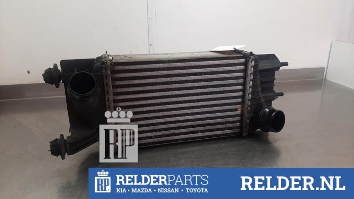Gebruikte Intercooler Nissan NV 200 (M20M) 1.5 dCi 90 Prijs € 35,00 Margeregeling aangeboden door Relder Parts B.V.