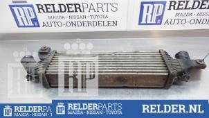 Gebruikte Intercooler Nissan Primera (P12) 1.9 dCi Prijs € 90,00 Margeregeling aangeboden door Relder Parts B.V.
