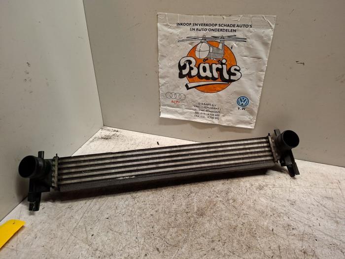 Gebruikte Intercooler Volkswagen Polo V (6R) 1.2 TDI 12V BlueMotion Prijs € 20,00 Margeregeling aangeboden door Baris Schiedam