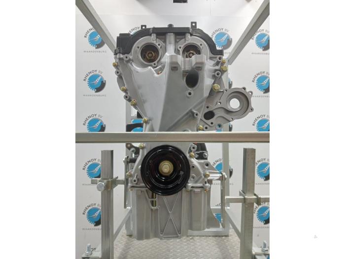 Motor Ford Focus (Revisie)