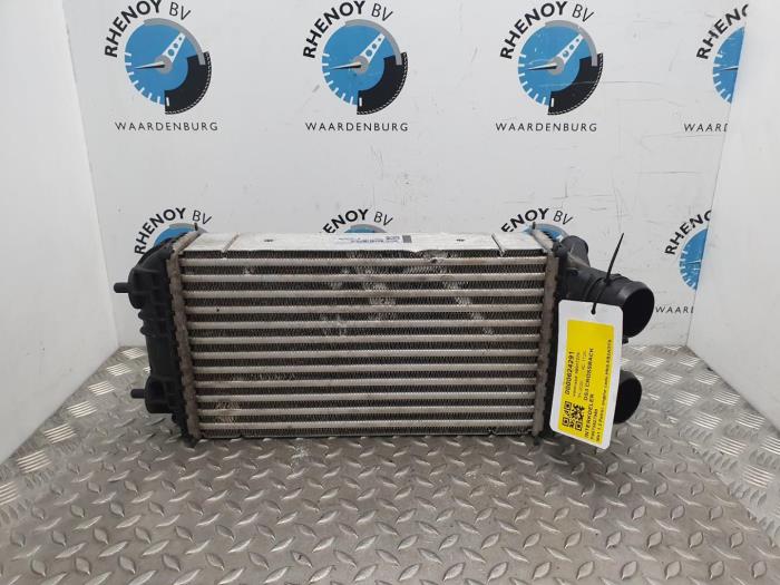 Intercooler DS Automobiles DS3 Crossback (Gebruikt)