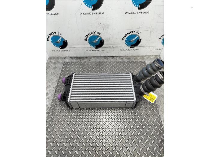 Gebruikte Intercooler DS Automobiles DS3 Crossback Prijs € 157,30 Inclusief btw aangeboden door Rhenoy Onderdelen b.v.