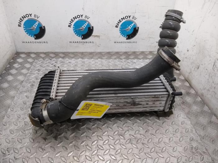 Gebruikte Intercooler Ford Transit Connect Prijs € 96,80 Inclusief btw aangeboden door Rhenoy Onderdelen b.v.