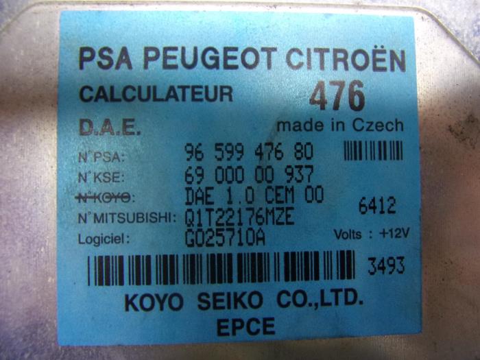 Stuurbekrachtiging Computer van een Peugeot 1007 (KM) 1.4 16V 2007