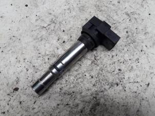 Gebruikte Bobine Volkswagen Polo IV (9N1/2/3) Prijs € 15,75 Margeregeling aangeboden door Reclycar De Boer BV