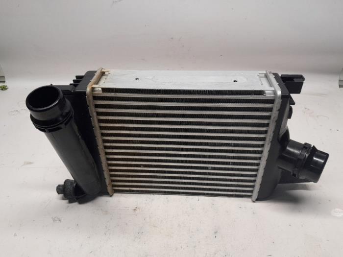 Gebruikte Intercooler Dacia Duster (SR) 1.0 TCE 100 Bi-Fuel, Eco-G 12V Prijs € 157,50 Margeregeling aangeboden door Reclycar De Boer BV