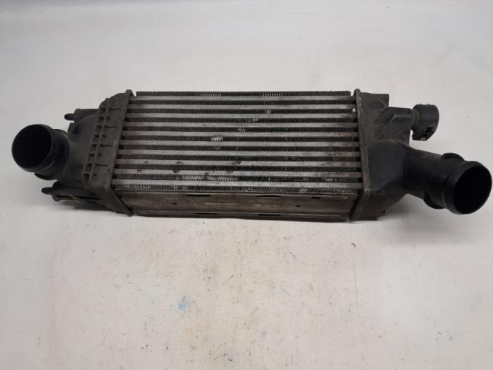Gebruikte Intercooler Citroen C5 III Tourer (RW) 2.0 HDiF 16V Prijs € 26,25 Margeregeling aangeboden door Reclycar De Boer BV