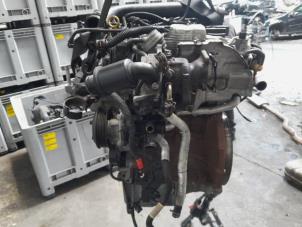 Gebruikte Motor Ford Fiesta 6 (JA8) 1.0 EcoBoost 12V 100 Prijs € 1.837,50 Margeregeling aangeboden door Reclycar De Boer BV