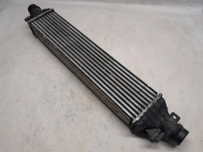 Gebruikte Intercooler Opel Mokka/Mokka X 1.4 Turbo 16V Bi-fuel ecoFLEX 4x2 Prijs € 63,00 Margeregeling aangeboden door Reclycar De Boer BV