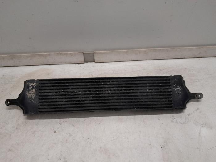 Gebruikte Intercooler Renault Koleos I 2.0 dCi 16V 4x4 Prijs € 89,25 Margeregeling aangeboden door Reclycar De Boer BV