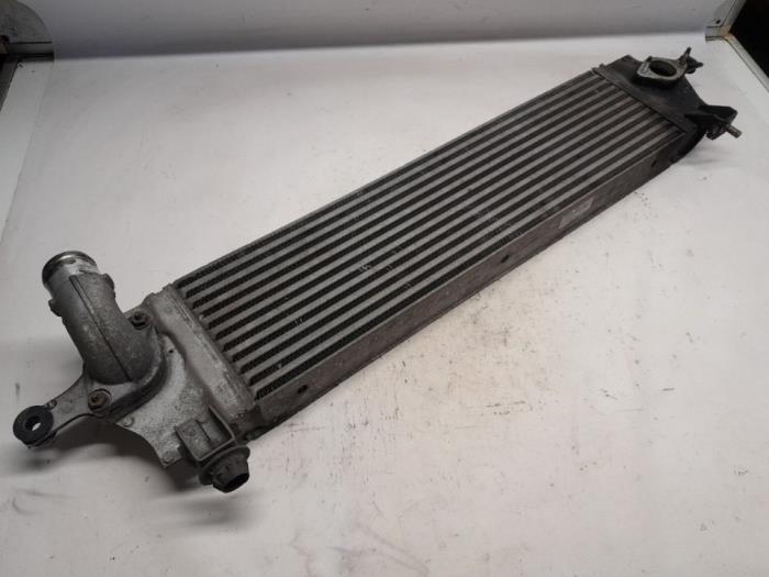 Gebruikte Intercooler Nissan Qashqai (J10) 2.0 dCi 4x4 Prijs € 52,50 Margeregeling aangeboden door Reclycar De Boer BV